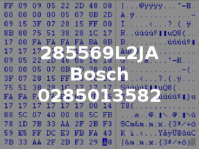 285569L2JA Bosch 0285013582
