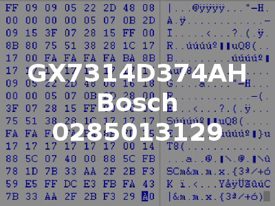 GX7314D374AH Bosch 0285013129