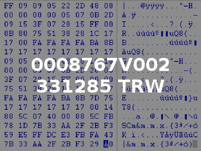 0008767V002 331285 TRW