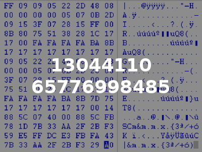 13044110 65776998485
