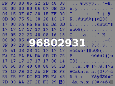 96802931