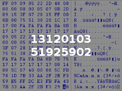13120103 51925902