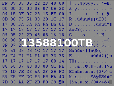 13588100TB