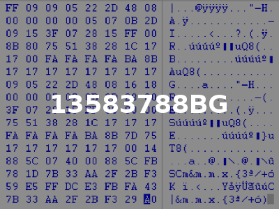 13583788BG
