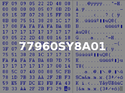 77960SY8A01