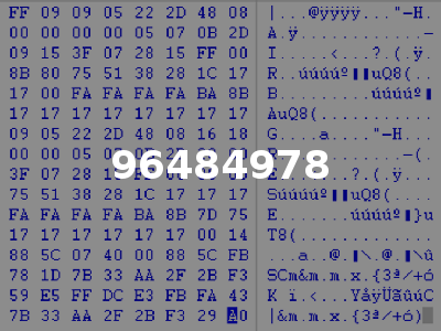 96484978