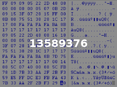 13589376