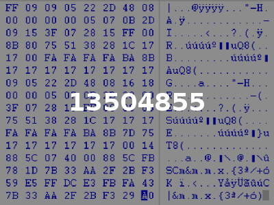 13504855