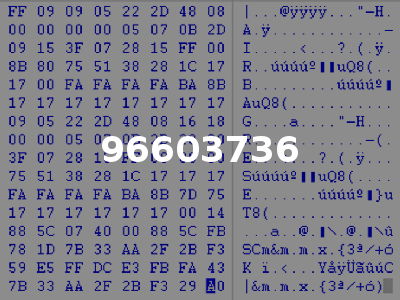 96603736