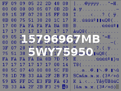 15796967MB 5WY75950