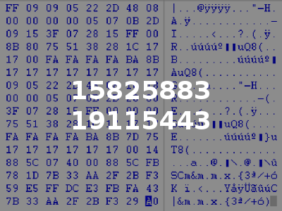 15825883 19115443