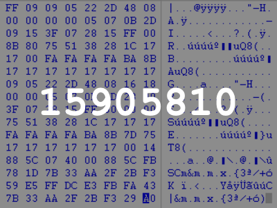 15905810