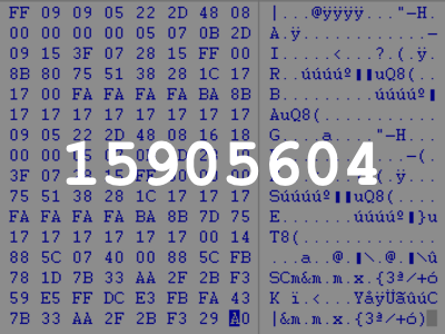 15905604