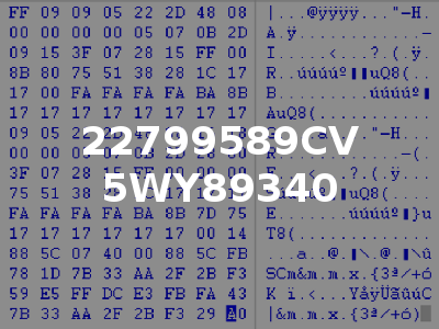 22799589CV 5WY89340