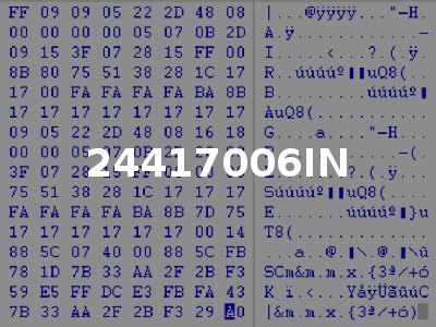 24417006IN