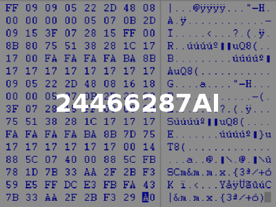 24466287AI