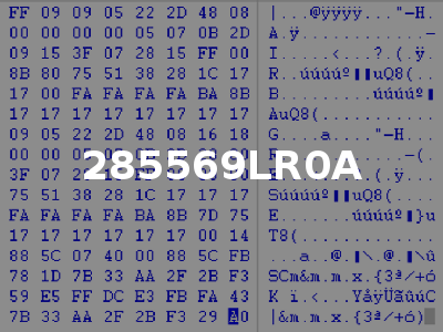 285569LR0A