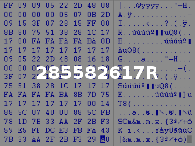 285582617R