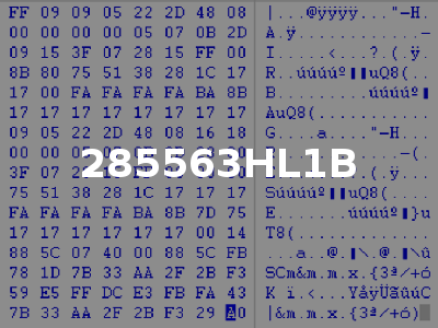 285563HL1B