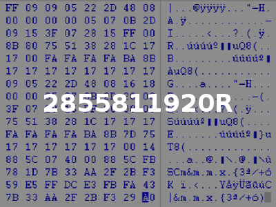 2855811920R