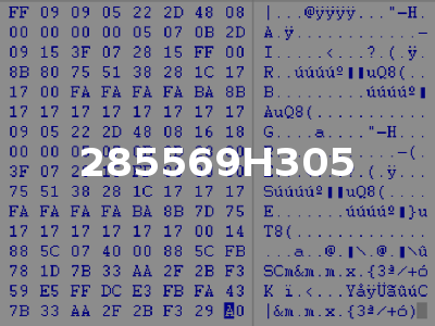285569H305