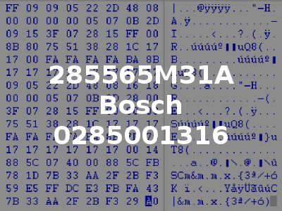 285565M31A Bosch 0285001316