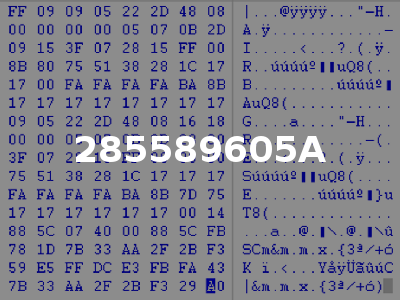 285589605A