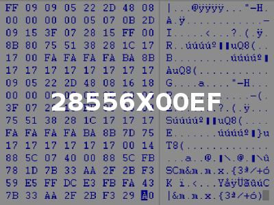 28556X00EF