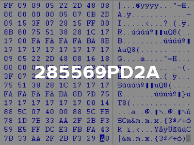 285569PD2A