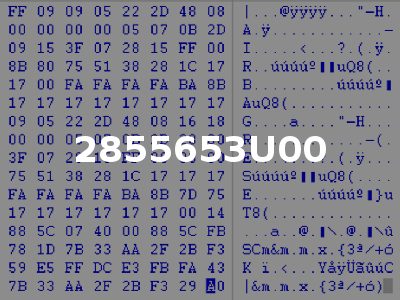 2855653U00