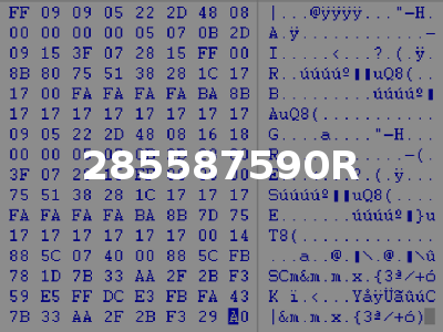 285587590R