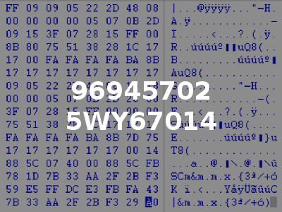 96945702 5WY67014