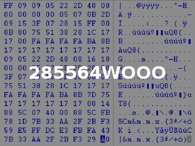 285564WOOO