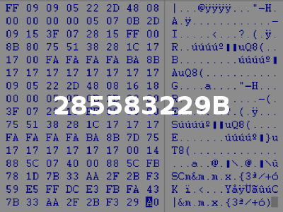 285583229B
