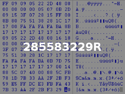 285583229R