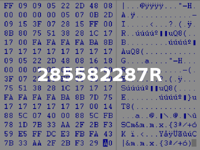 285582287R