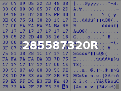 285587320R