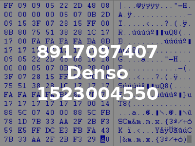 8917097407 Denso 1523004550