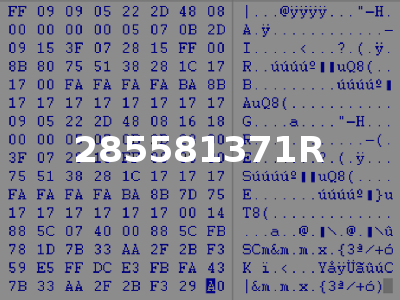285581371R