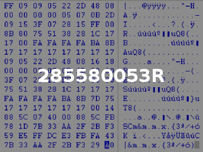 285580053R