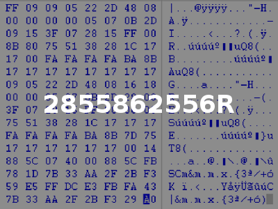 2855862556R
