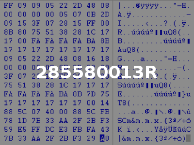 285580013R