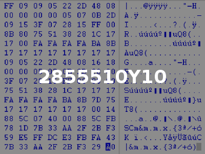 2855510Y10