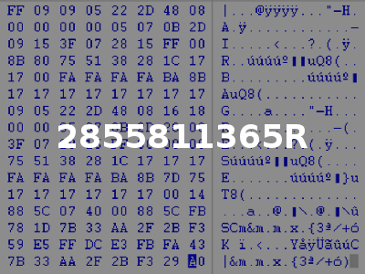 2855811365R