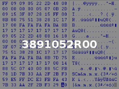 3891052R00