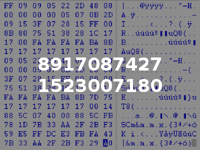 8917087427 1523007180
