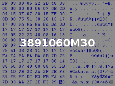 3891060M30