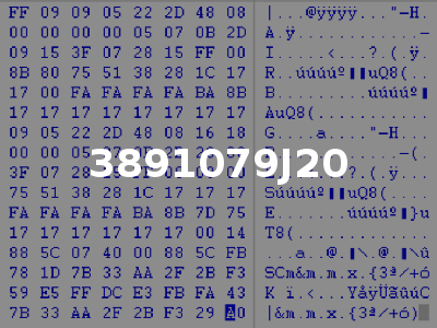 3891079J20