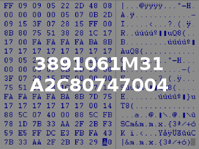 3891061M31 A2C80747004