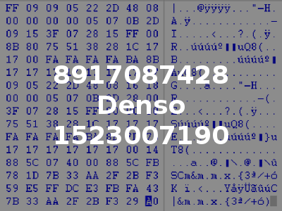 8917087428 Denso 1523007190